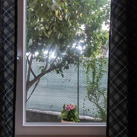 La Casa Di Alvy Guest house