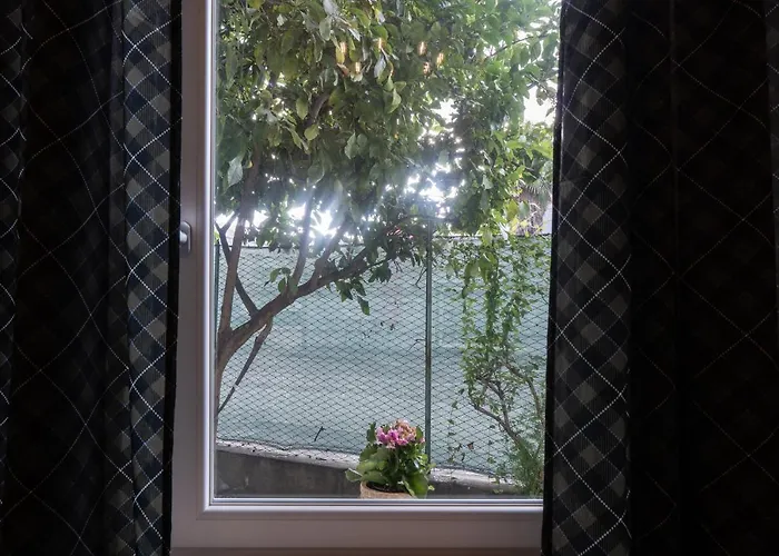 La Casa Di Alvy Guest house